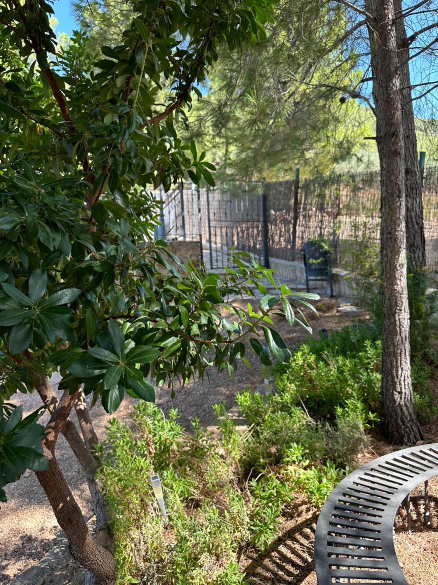 Casas Rurales Cerro Lobo Yeste Extérieur photo